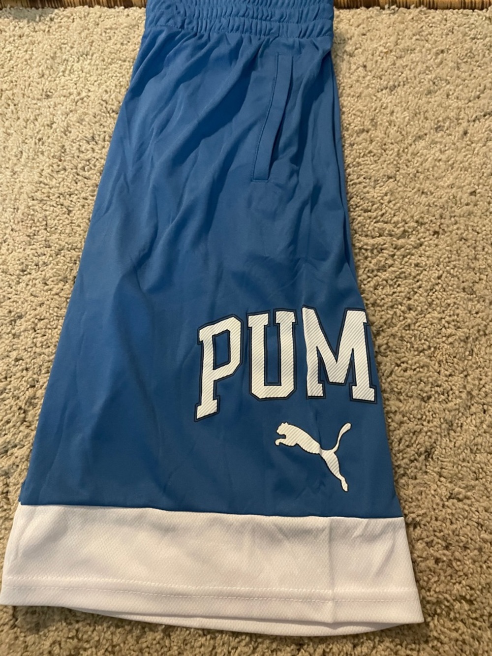 Puma Royal Blue Basketball Shorts with White Trim